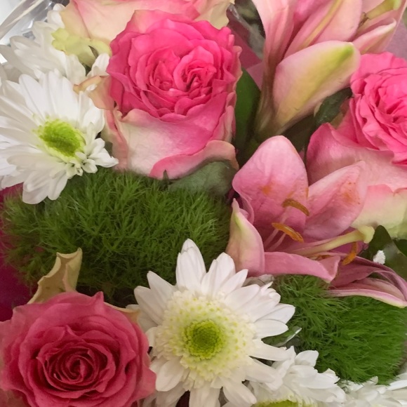 Meet your Posher, Melissa - Picture 1 of 1